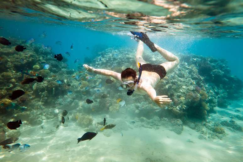 A prática de snorkel é perfeita para conhecer o mundo subaquático sem se afastar muito da superfície 
