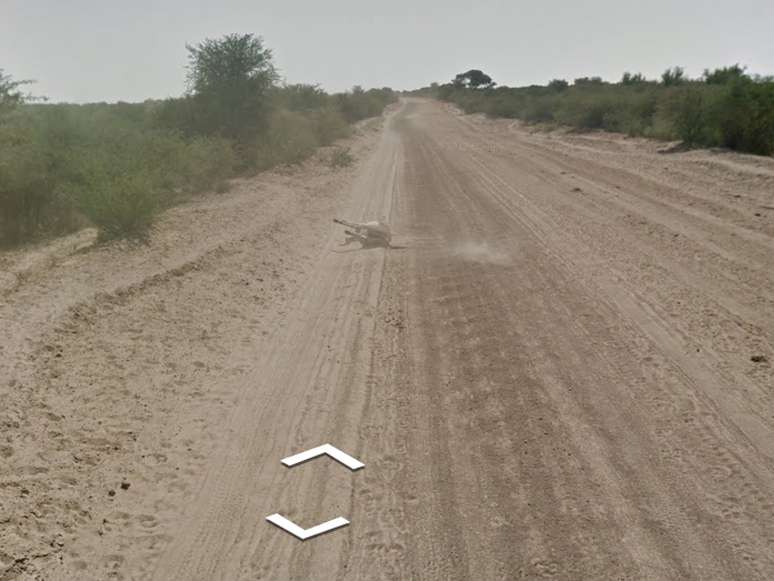 Imagens do Google Street View em Botswana mostram um burro andando e depois deitado em sequência de imagens. Um usuário afimrou pelo Twitter que o carro do Google pode ter atropelado o animal durante o mapeamento