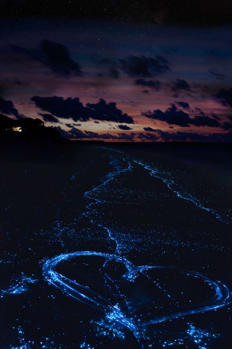 Micro-organismos na água de Bioluminescent Bay brilham quando incomodados. Não por acaso, os turistas alugam o serviço de caiaque para fazer desenhos na água