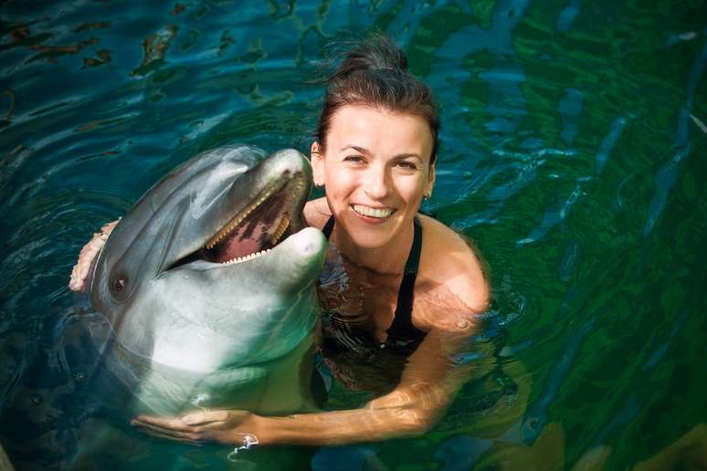 Locais para nadar com golfinhos são fáceis de ser encontrados nas ilhas caribenhas