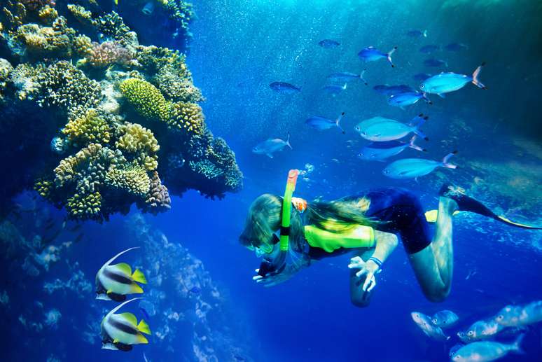 Durante o dia, turistas mais corajosos podem tocar e aprender mais sobre os animais marinhos