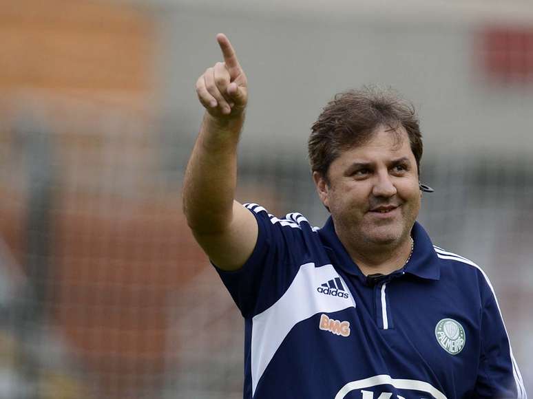 <p>Gilson Kleina aguarda pela chegada de reforços no Palmeiras</p>
