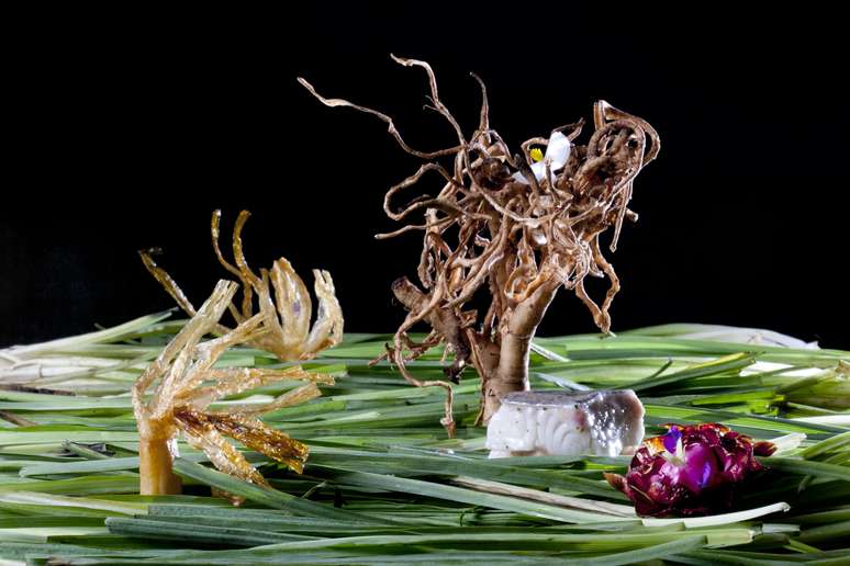 Peixe com flor de alcachofra e salsify (raiz): uma demonstração da cozinha basca