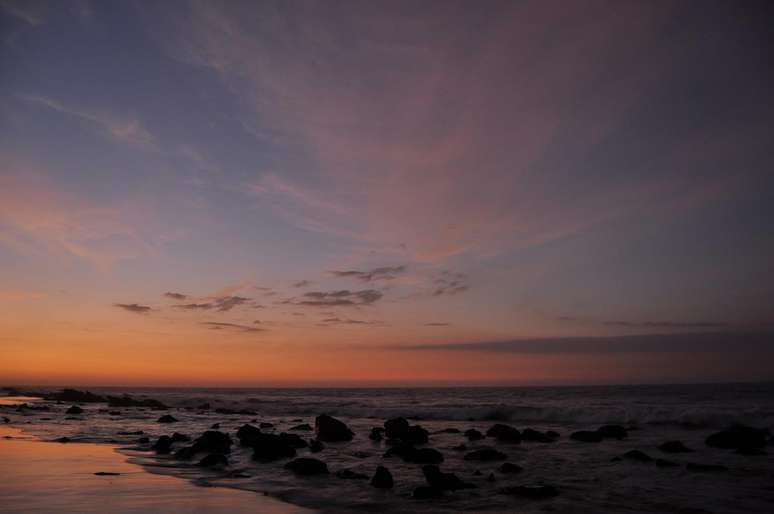 <p>É possível ver passáros, tartarugas, golfinho e baleias de algumas praias da América do Sul</p>