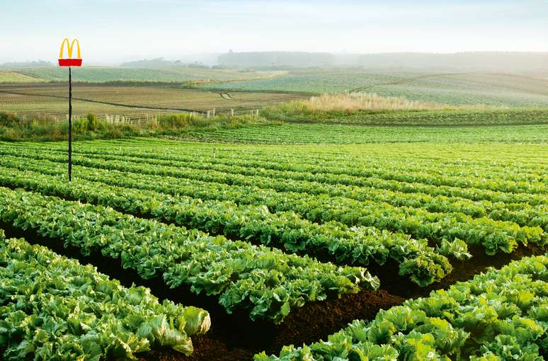 <p>O v&iacute;deo sobre origem da alface do McDonald's foi gravado na&nbsp;Fazenda Jequitib&aacute;, em Porto Feliz (SP)</p>