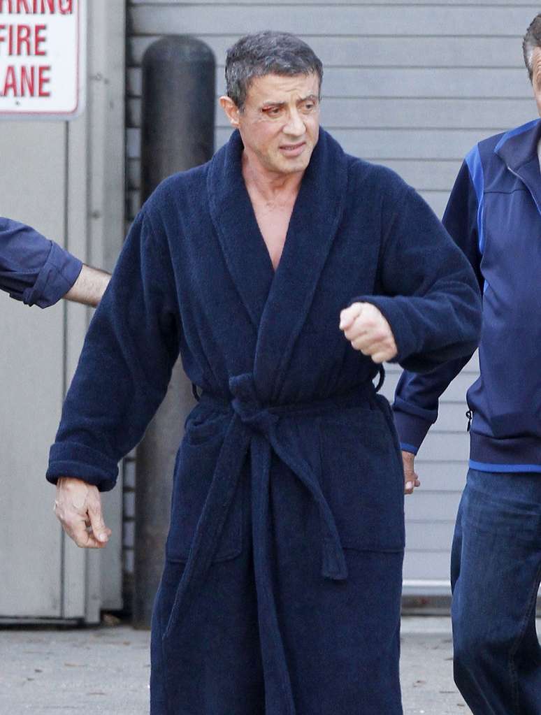 <p>O animal foi encontrado na propriedade de&nbsp;Stallone</p>