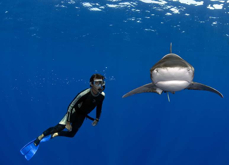 Entre os trabalhos mais perigosos que já fez, Daniel Botelho destaca o mergulho com tubarões brancos na Califórnia