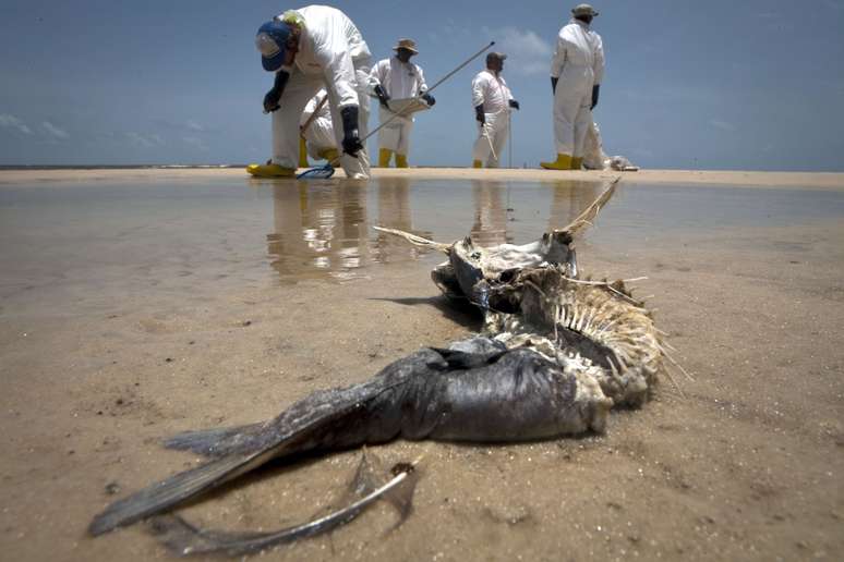 Peixe em decomposição é visto em praia de Waveland, Mississippi, em 7 de julho de 2010