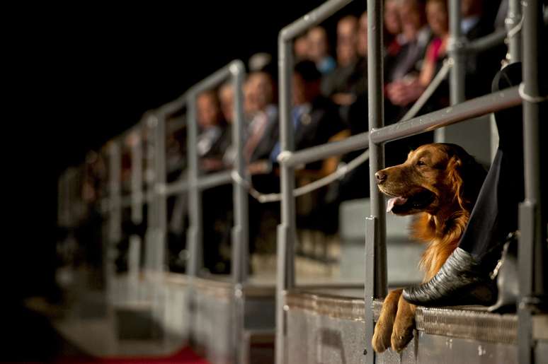 Bravo acompanha em 8 de fevereiro de 2012 cerim&ocirc;nia em homenagem a Panetta em Arlington, Virg&iacute;nia