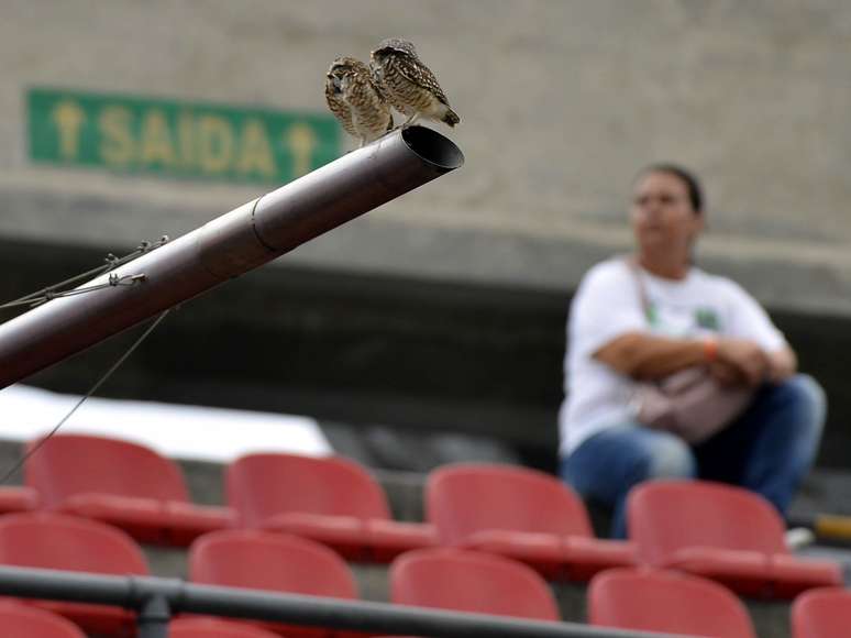 <p>Contra o Corinthians, no Morumbi, apenas 17 mil santistas foram ao estádio</p>