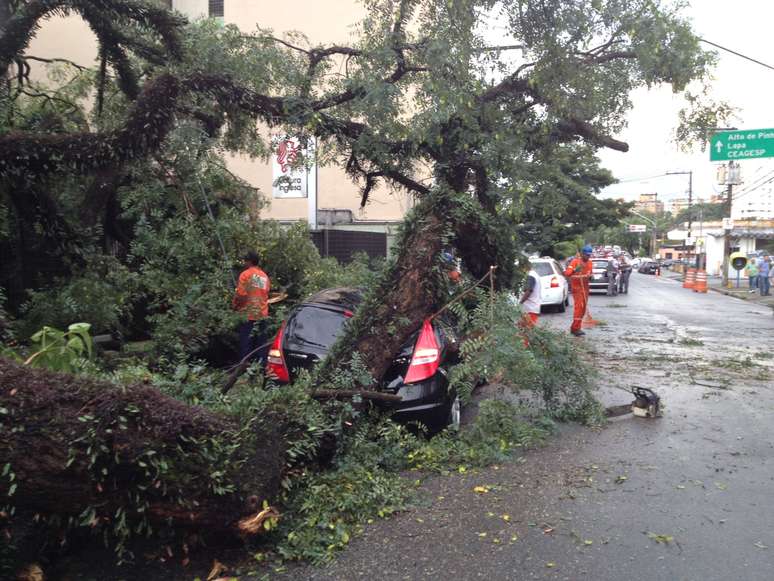 &Aacute;rvore caiu na rua Deputado Lacerda Franco, em Pinheiros, e deixou carro destru&iacute;do