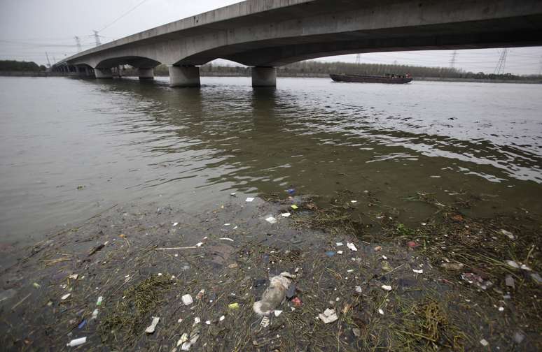 No distrito de Songjiang, funcionários do município retiravam os porcos do rio