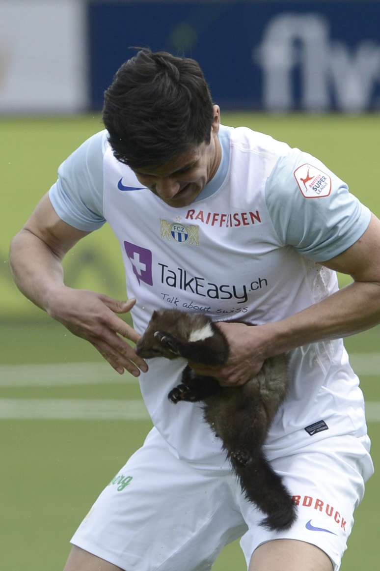 A partida entre FC Zurich e FC Thun, pelo Campeonato Suíço, no último domingo, contou com um invasor inesperado. Uma fuinha adentrou o gramado, paralisou o jogo por instantes e até mesmo mordeu um jogador