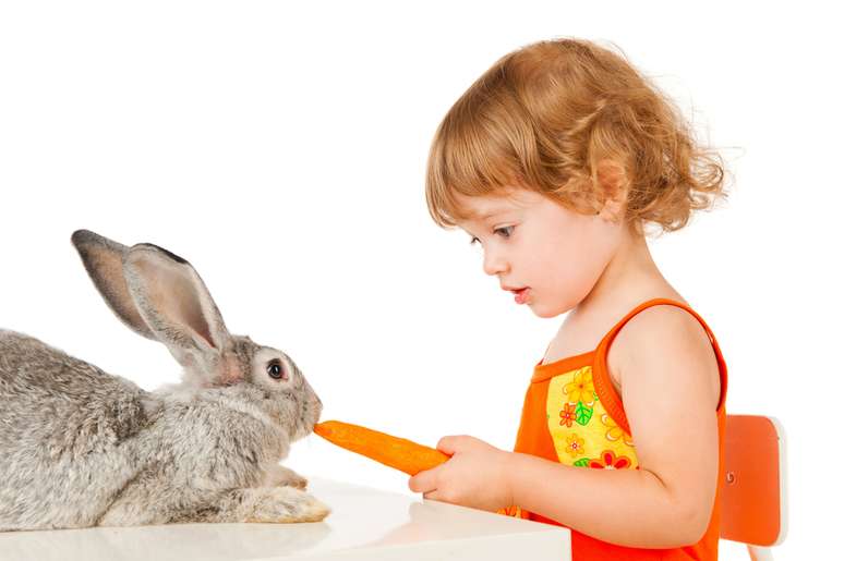 Além de ração, os bichinhos também comem vegetais frescos