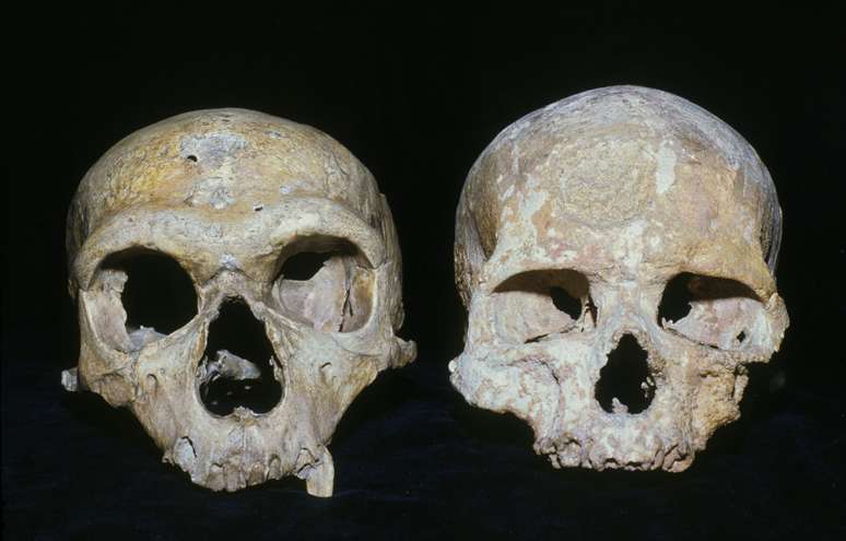 Estudo da Universidade de Oxford sugere que Neandertais foram extintos porque tinham olhos maiores do que o Homo sapiens