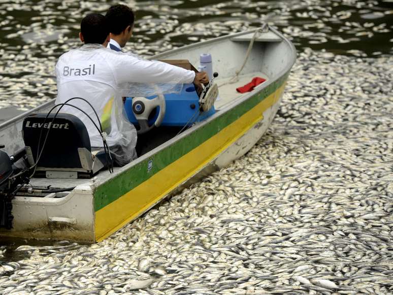<p>Membro da Confederação Brasileira de Remo passa de barco por peixes mortos</p>