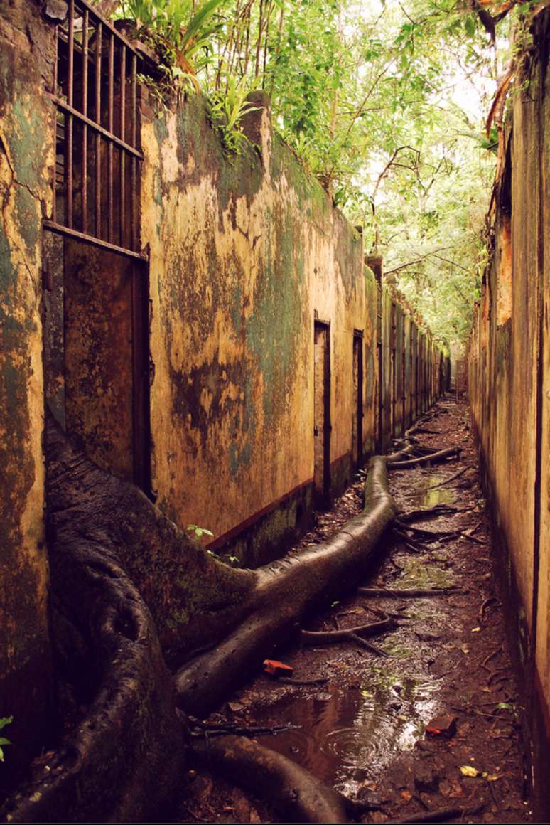 <p>A antiga prisão foi dominada pela floresta</p>