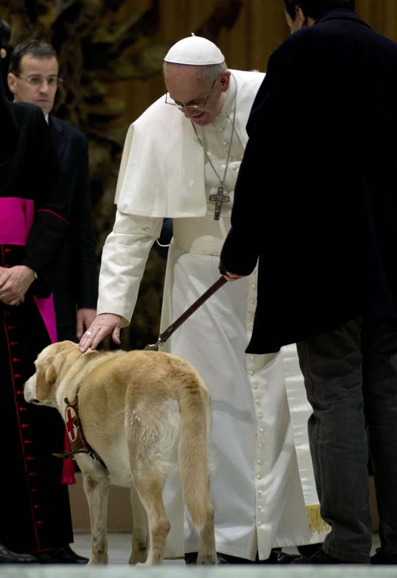 Papa acaricia cão durante sessão de cumprimentos a presentes na audiência