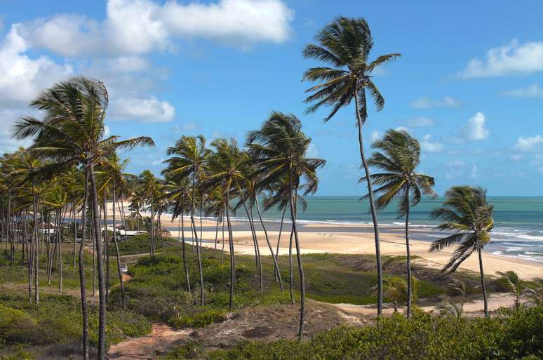 Bela paisagem chama atenção na Barra do Gramame