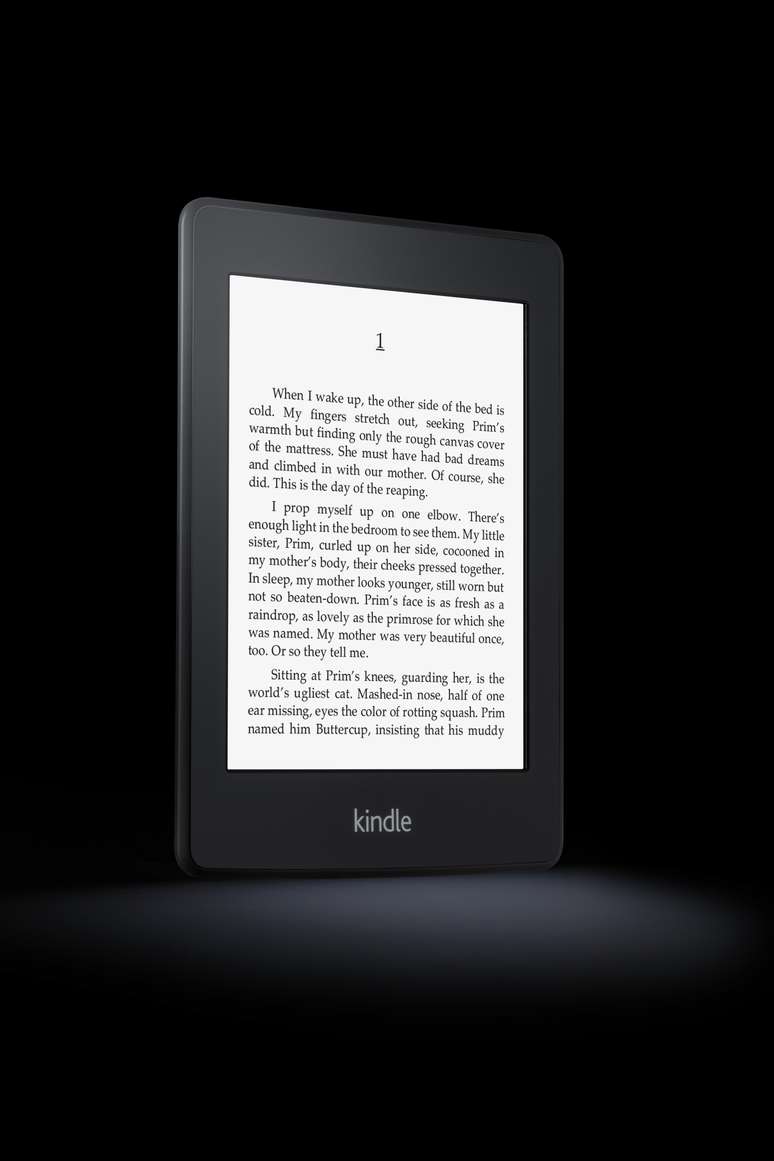 <p>Kindle Paperwhite tem tela touch de 6 polegadas</p>