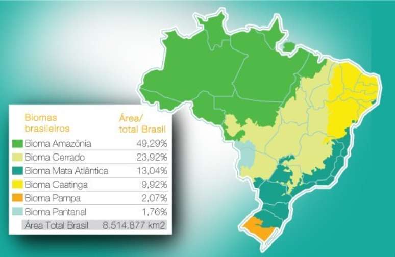 Mapa mostra distribuição dos biomas brasileiros