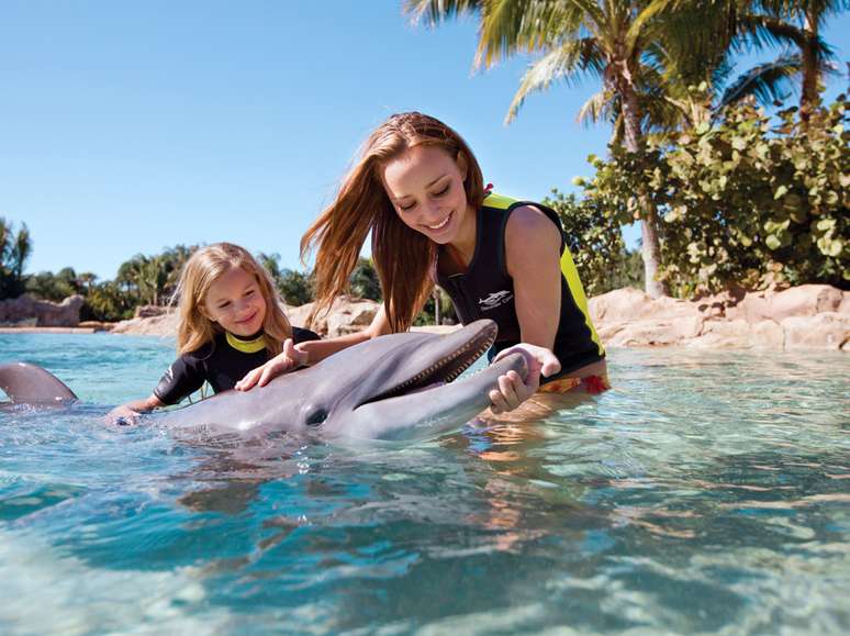 <p>Discovery Cove</p>