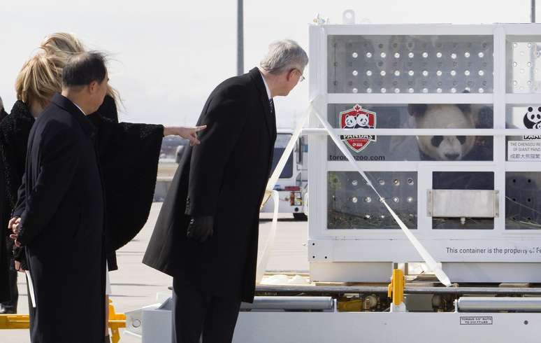 O primeiro-ministro do Canadá, Stephen Harper, fez questão de recepcionar os novos moradores do país, dois pandas gigantes, no aeroporto de Toronto nesta segunda-feira