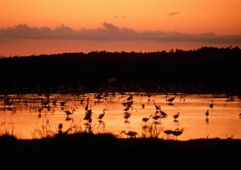 <p>O Parque Nacional de Kakadu &eacute; Patrim&ocirc;nio Mundial da Unesco</p>