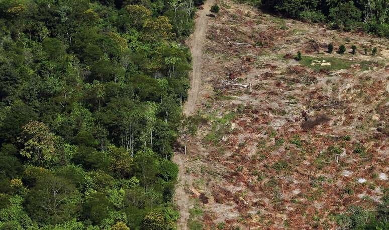 Imagem de 2012 mostra área desmatada na região amazônica