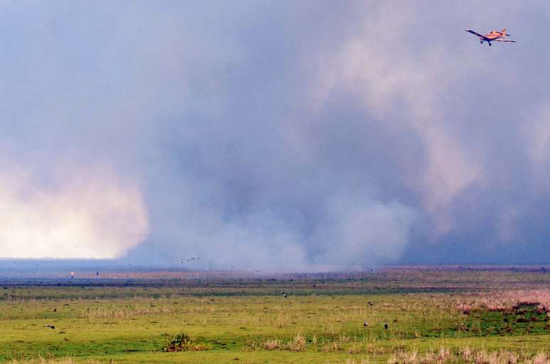 Nesta quinta, incêndio já havia queimado mais de 1,4 mil hectares, segundo estimativa do ICMBio