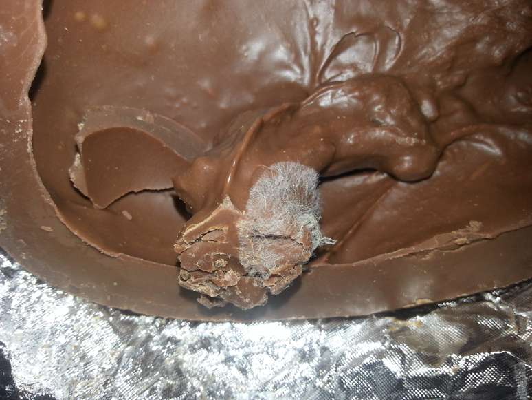 Ovo de P&aacute;scoa dado a funcion&aacute;rio de empresa de Mogi Mirim, no interior de S&atilde;o Paulo, estava estragado