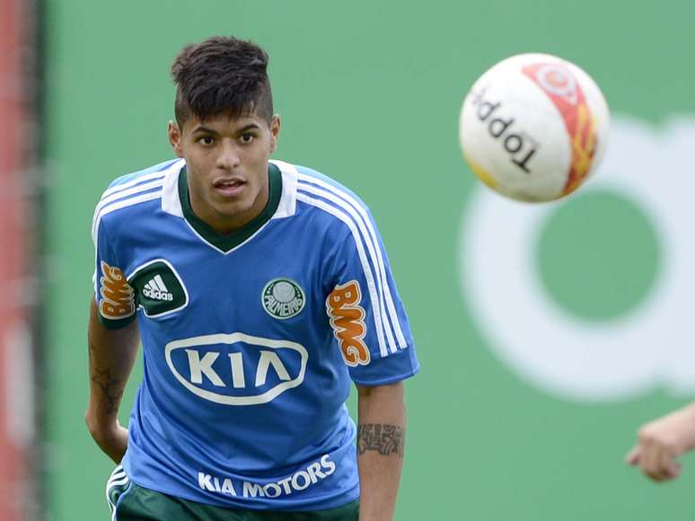 <p>Destaque do Palmeiras no Campeonato Paulista, Leandro (foto) n&atilde;o poder&aacute; disputar a Libertadores pelo time</p>