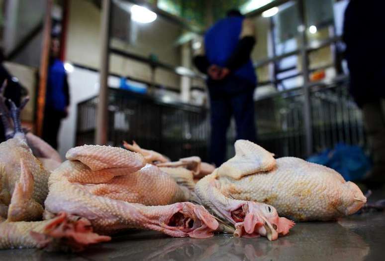 <p>Galinhas abatidas em um mercado de aves no centro de Xangai</p>