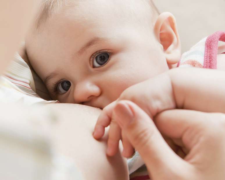 <p>A amamentação é de extrema importância para o desenvolvivento do bebê</p>