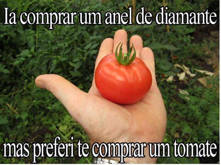Alta no preço do tomate faz sucesso na internet