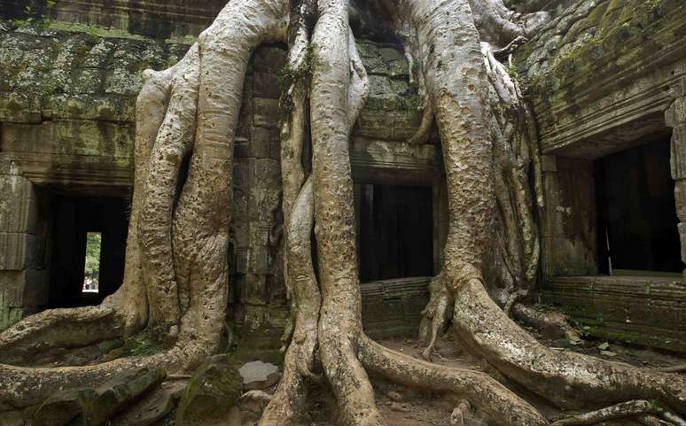 <p>O templo Angkor Wat é um exemplo da arquitetura do império Khmer</p>