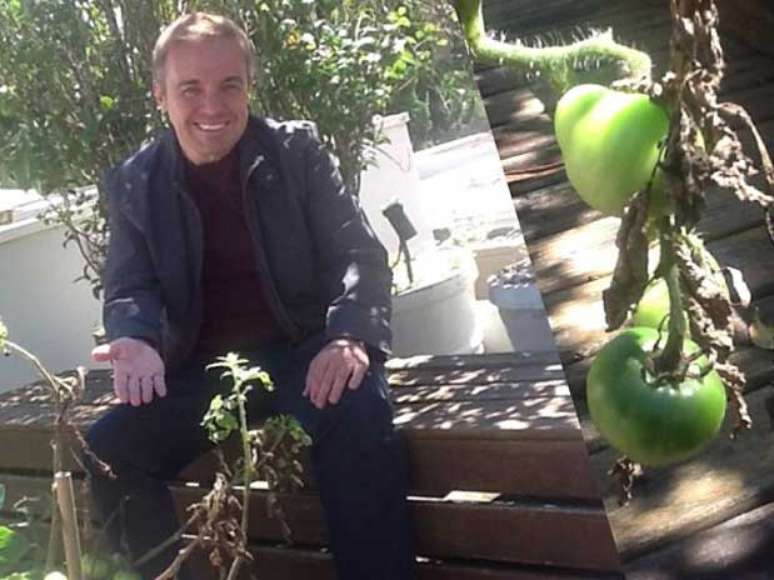 O apresentador Gugu Liberato postou, nesta segunda-feira, 15 de abril, em sua p&aacute;gina no Instagram, uma foto em que mostra a situa&ccedil;&atilde;o dos p&eacute;s de tomate de sua casa ap&oacute;s o mau tempo do fim de semana
