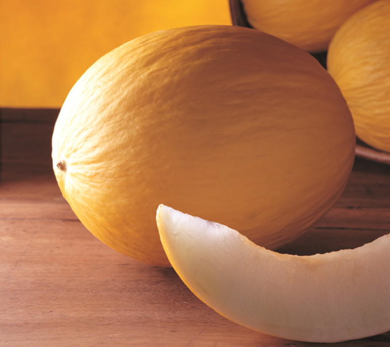 O melão é a principal fruta de exportação, com 181 milhões de quilos vendidos em 2012, o equivalente a US$ 134 milhões