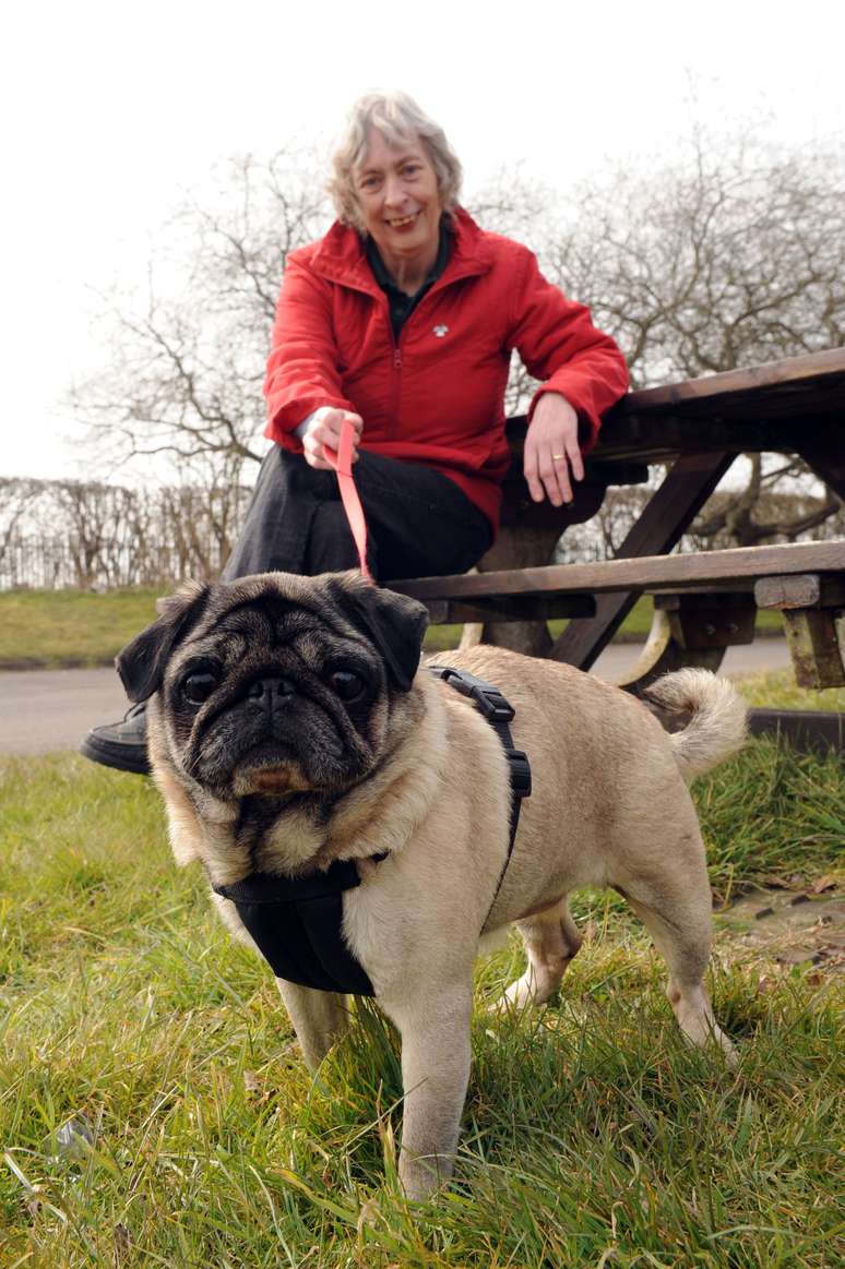 <p>Britânica afirma que cadela salvou sua vida ao 'encontrar' tumor</p>