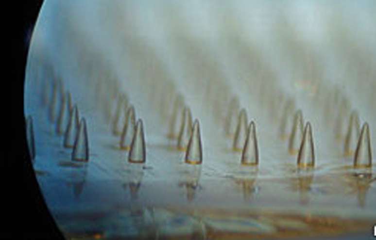 Pequenos 'espinhos' incham quando em contato com a umidade, tornando-os indicados para ferimentos em locias úmidos
