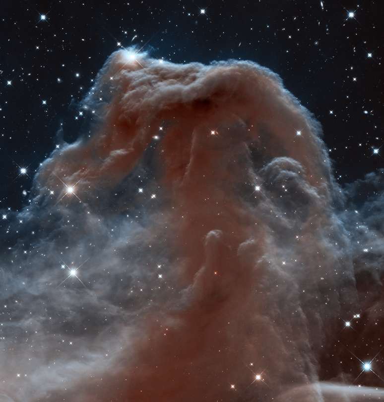 Conhecida como Cabeça de Cavalo por causa de sua forma, esta nebulosa é uma das mais apreciadas pelos astrônomos