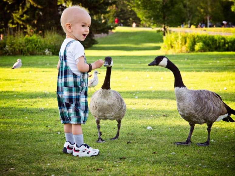 Taxa de cura do câncer infantil é de cerca de 80%