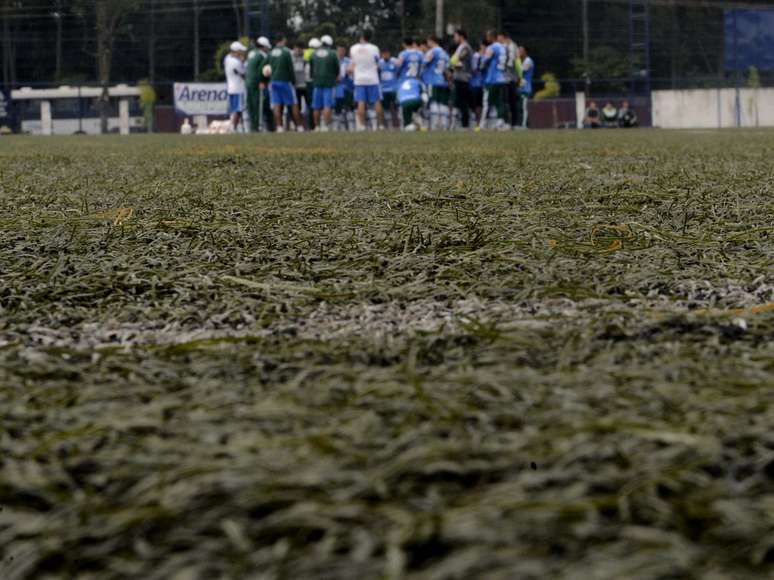 Palmeiras treinou nesta quarta em grama artificial no Clube Nacional