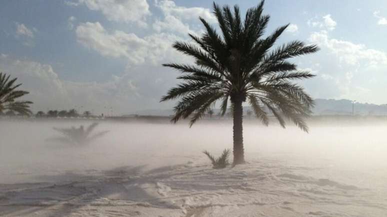 <p>Fotos da neve no deserto foram postadas em redes sociais</p>