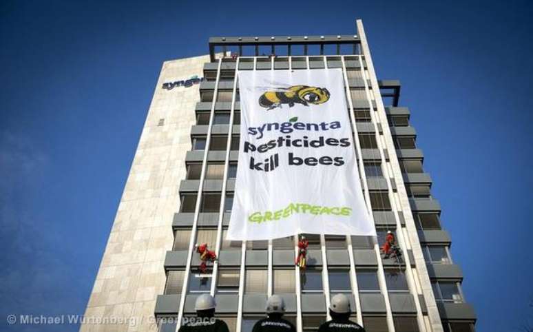 Comissão Europeia suspende uso de pesticidas que matam abelhas