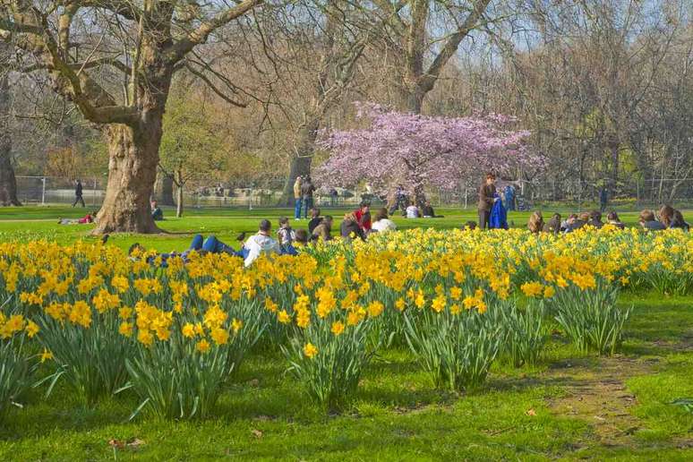 <p>O St. James Park, em Londres, na Inglaterra, tem vista para o palácio de Buckingham</p>