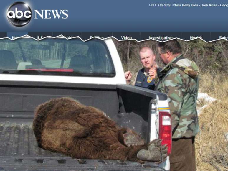 Imagem mostra o urso após ser abatido 