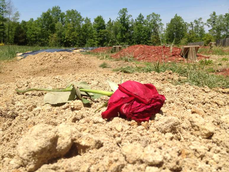 Uma rosa repousa sobre o local, nos arredores de Richmond, onde o corpo de Tamerlan teria sido enterrado