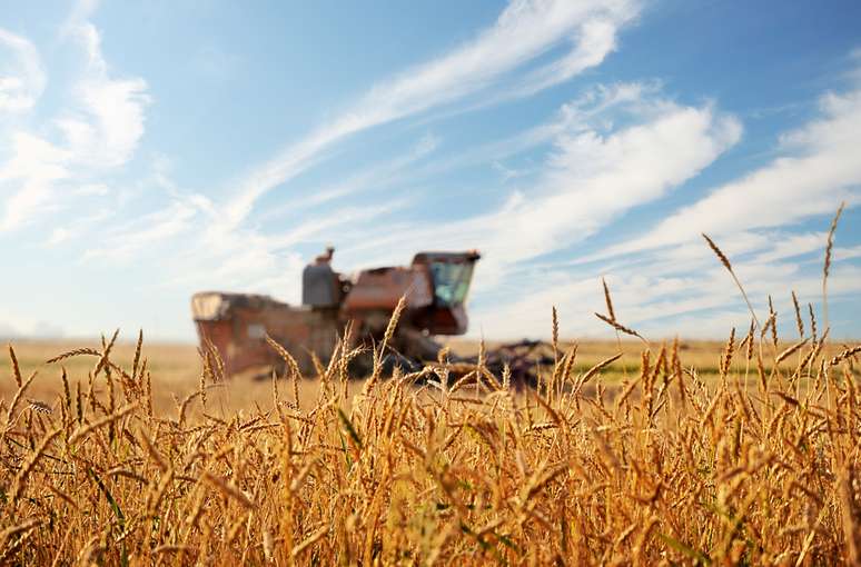 Agricultores brasileiros perdem 20% da produção por armazenamento inadequado