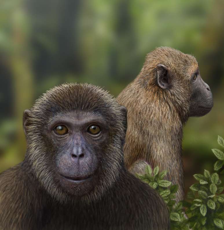<p>Reconstru&ccedil;&atilde;o art&iacute;stica mostra como seriam dois primatas do Oligoceno: <em>Rukwapithecus </em>(esq.) e <em>Nsungwepithecus</em></p>